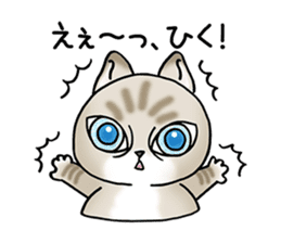 Blue eyes cat "Maiko" & "Ataru" vol.2 sticker #1903590
