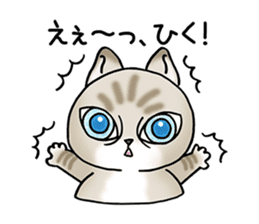 Blue eyes cat "Maiko" & "Ataru" vol.2 sticker #1903590