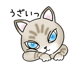 Blue eyes cat "Maiko" & "Ataru" vol.2 sticker #1903592