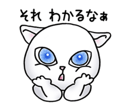 Blue eyes cat "Maiko" & "Ataru" vol.2 sticker #1903593