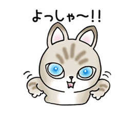 Blue eyes cat "Maiko" & "Ataru" vol.2 sticker #1903598