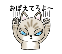 Blue eyes cat "Maiko" & "Ataru" vol.2 sticker #1903604
