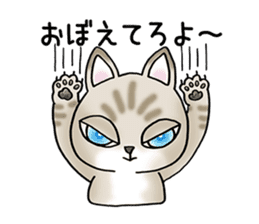 Blue eyes cat "Maiko" & "Ataru" vol.2 sticker #1903604