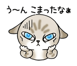 Blue eyes cat "Maiko" & "Ataru" vol.2 sticker #1903606