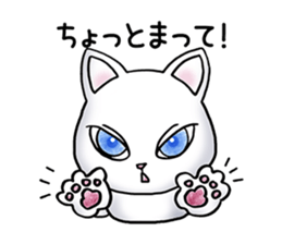 Blue eyes cat "Maiko" & "Ataru" vol.2 sticker #1903607