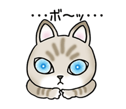 Blue eyes cat "Maiko" & "Ataru" vol.2 sticker #1903608