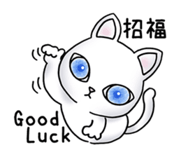 Blue eyes cat "Maiko" & "Ataru" vol.2 sticker #1903609