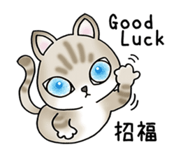 Blue eyes cat "Maiko" & "Ataru" vol.2 sticker #1903610