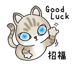 Blue eyes cat "Maiko" & "Ataru" vol.2 sticker #1903610