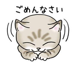 Blue eyes cat "Maiko" & "Ataru" vol.2 sticker #1903612