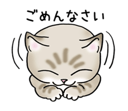 Blue eyes cat "Maiko" & "Ataru" vol.2 sticker #1903612