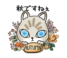 Blue eyes cat "Maiko" & "Ataru" vol.2 sticker #1903614