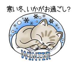 Blue eyes cat "Maiko" & "Ataru" vol.2 sticker #1903616