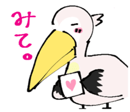 Mr. Perry of a pelican sticker #1903769