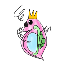 Daphnia pulex sticker #1905078