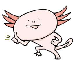Axolotl HEPETA sticker #1908266