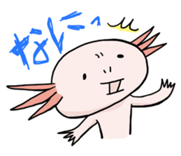 Axolotl HEPETA sticker #1908269