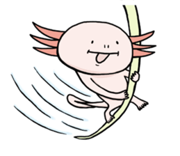 Axolotl HEPETA sticker #1908274