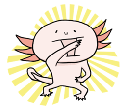 Axolotl HEPETA sticker #1908278