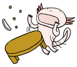 Axolotl HEPETA sticker #1908279