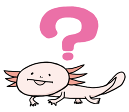 Axolotl HEPETA sticker #1908281