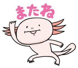 Axolotl HEPETA sticker #1908284