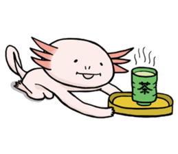 Axolotl HEPETA sticker #1908290