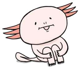 Axolotl HEPETA sticker #1908297