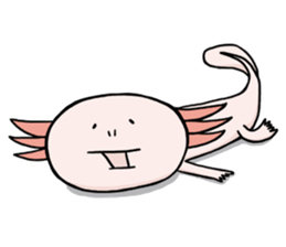Axolotl HEPETA sticker #1908298