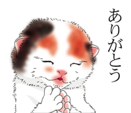 a little Realistic Nyanko Sticker sticker #1912388