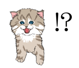 a little Realistic Nyanko Sticker sticker #1912390