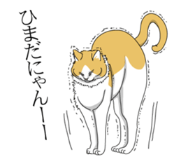 a little Realistic Nyanko Sticker sticker #1912404
