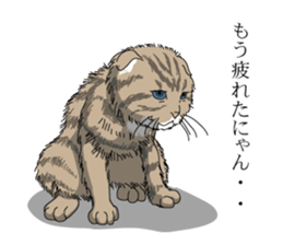 a little Realistic Nyanko Sticker sticker #1912406