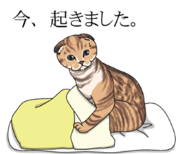 a little Realistic Nyanko Sticker sticker #1912407