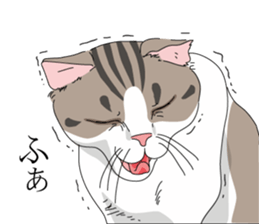 a little Realistic Nyanko Sticker sticker #1912411