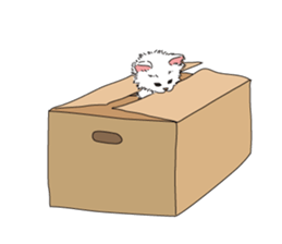 a little Realistic Nyanko Sticker sticker #1912418