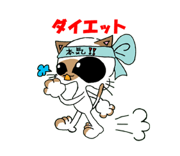 wise cat sticker #1916372