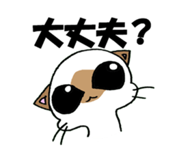 wise cat sticker #1916374