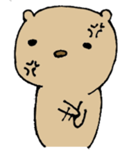 fat cat expressive. sticker #1916668