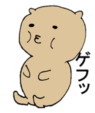 fat cat expressive. sticker #1916679