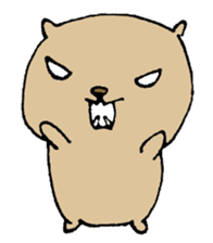 fat cat expressive. sticker #1916700