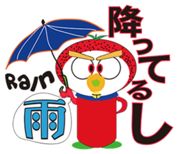 RAKUGAKI FRUIT RANGER VERSION NO1 sticker #1919627