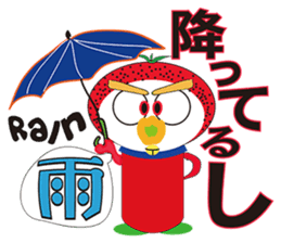 RAKUGAKI FRUIT RANGER VERSION NO1 sticker #1919627