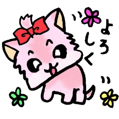 The pinky Yorkshire terrier Pink Yorkie