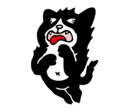 The black cat sticker #1921708