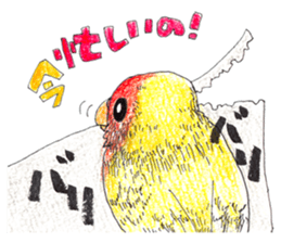 Lovely bird friends sticker #1921864