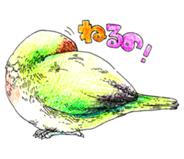 Lovely bird friends sticker #1921876