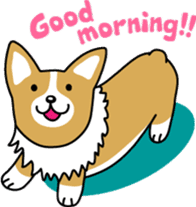 corgi chat sticker #1922150