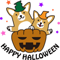 corgi chat sticker #1922153