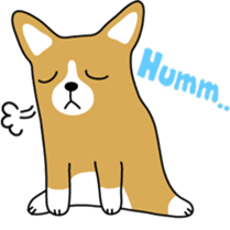 corgi chat sticker #1922157